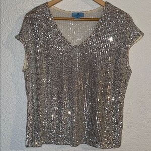 CeCe Silver Sequin Blouse with Cap Sleeves